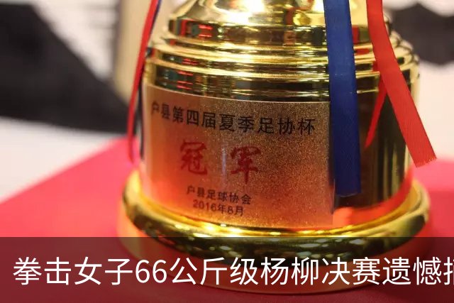 拳击女子66公斤级杨柳决赛遗憾摘银，性别争议引关注